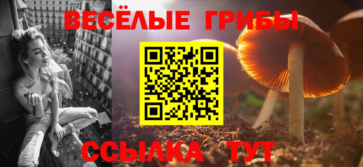 Псилоцибиновые грибы Psilocybine cubensis Ростов Великий